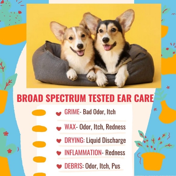 Doggy Ear Care - Picture 3 of 5